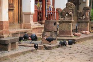 Shaxi Ancient Town